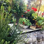 Country house Tenuta Blueberry - Tiny House *