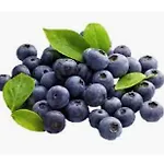 Tenuta Blueberry - Tiny House * Varallo Pombia