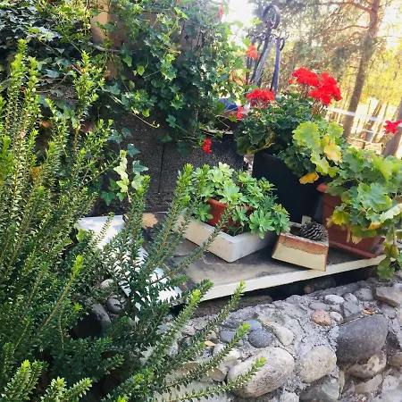 Country house Tiny House- Maggiore -malpensa Airport - *