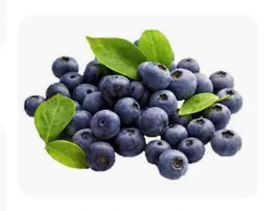 Tenuta Blueberry - Tiny House * Varallo Pombia