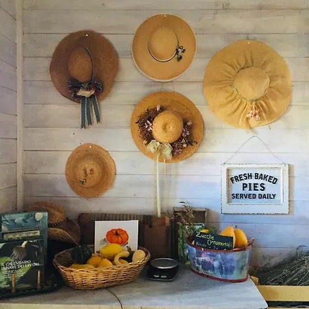Country house Tenuta Blueberry - Tiny House *