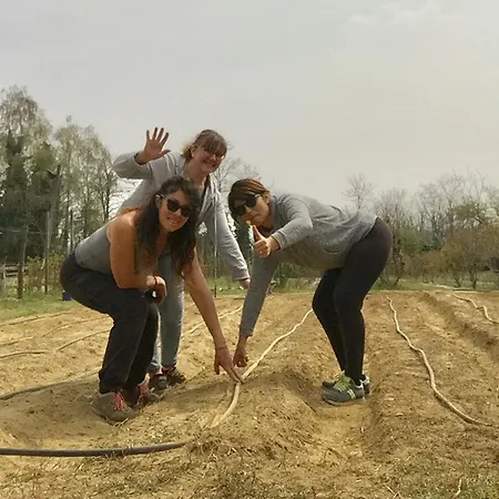 Tiny House- Maggiore -malpensa Airport - Landhuis Varallo Pombia