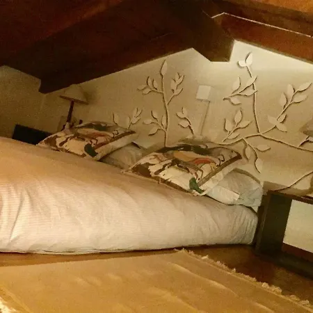 Agriturismo Tenuta Blueberry - Tiny house *