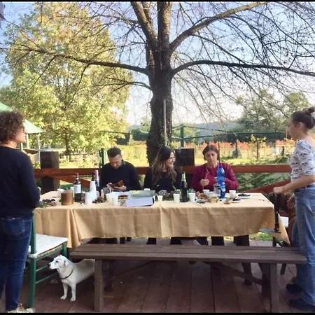Tiny House- Maggiore -malpensa Airport - Landhuis Varallo Pombia