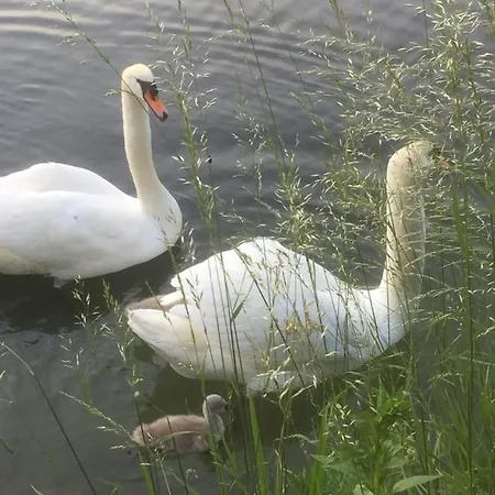 Tiny House- Maggiore -malpensa Airport - Landhuis *