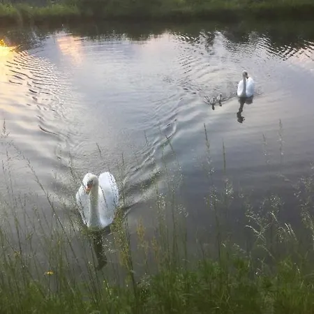 Tiny House- Maggiore -malpensa Airport -