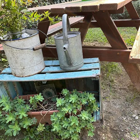 Tenuta Blueberry - Tiny House *
