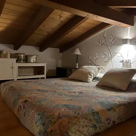 Agriturismo Tenuta Blueberry - Tiny house Varallo Pombia