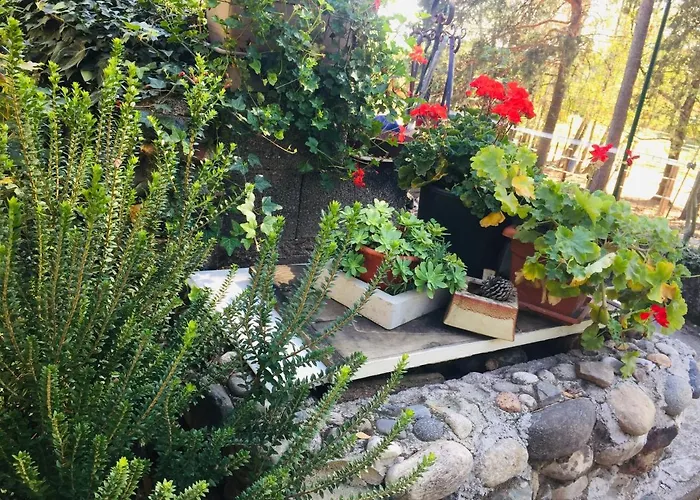 Country house Tiny House- Maggiore -malpensa Airport - *