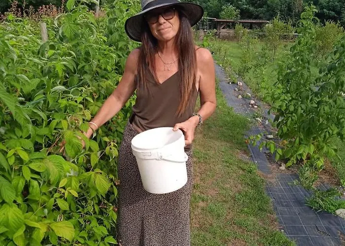 Tiny House- Maggiore -malpensa Airport - Country house *