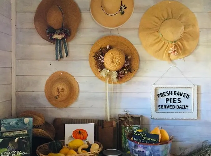 Country house Tiny House- Maggiore -malpensa Airport - *