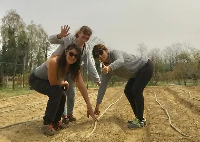 Tiny House- Maggiore -malpensa Airport - Country house Varallo Pombia