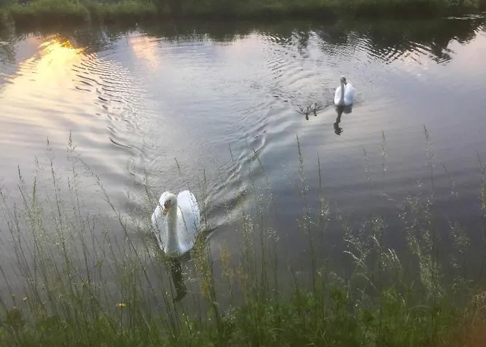 Tiny House- Maggiore -malpensa Airport -